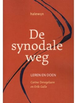De Synodale Weg