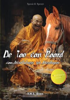 De Tao van Paard -  Y.H.S. Boon (ISBN: 9789465113500)