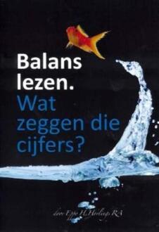 De Thuisdocent Balans lezen - Boek E.H. Horlings (9080193836)