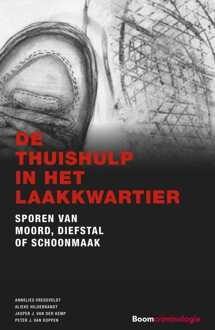 De thuishulp in het Laakkwartier - eBook Annelies Vredeveldt (9462747091)