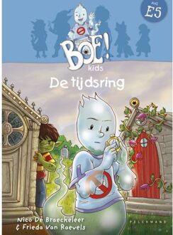 De tijdsring - Boek Nico De Braeckeleer (9462340943)