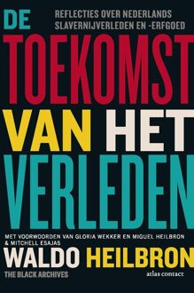 De toekomst van het verleden -  Waldo Heilbron (ISBN: 9789045050829)