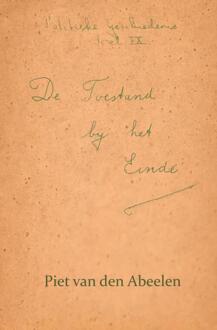 De toestand bij het einde - Boek Piet van den Abeelen (9402118608)