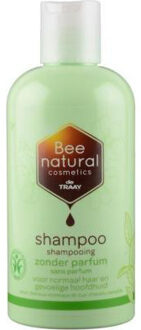 De Traay Shampoo 250 ml Zonder Parfum