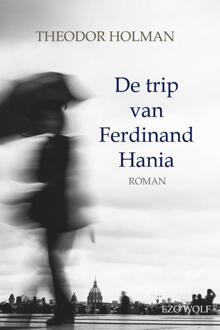 De trip van Ferdinand Hania -  Theodor Holman (ISBN: 9789083635002)
