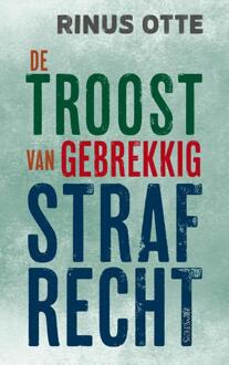 De troost van gebrekkig strafrecht -  Rinus Otte (ISBN: 9789044653250)