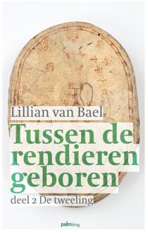 De tweeling - Boek Lillian van Bael (9491773542)