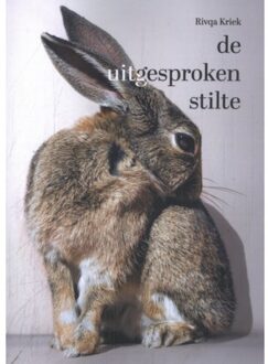 De Uitgesproken Stilte - Leeuwenhof Talent - Rivqa Kriek