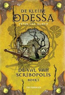 De val van Scribopolis / Boek 1 - Boek Peter van Olmen (9461316380)