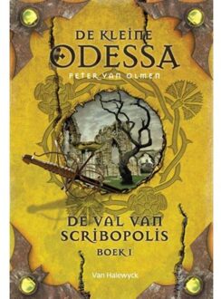 De val van Scribopolis / Boek 1 - Boek Peter van Olmen (9461316380)