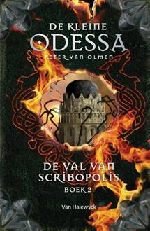 De val van Scribopolis / Boek 2 - Boek Peter van Olmen (9461316933)