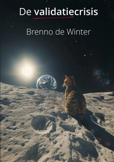 De validatiecrisis - Brenno de Winter - ebook