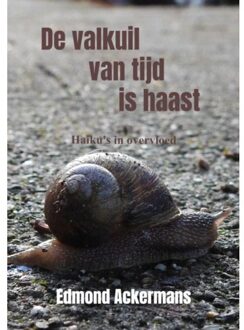 De Valkuil Van Tijd Is Haast - Edmond Ackermans