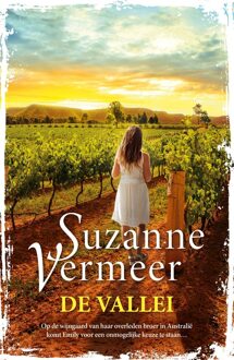 De vallei - Suzanne Vermeer - ebook