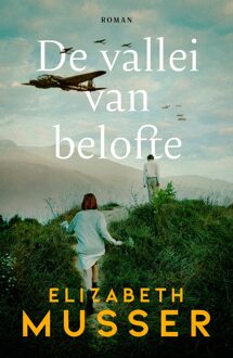 De vallei van belofte - Elizabeth Musser - ebook