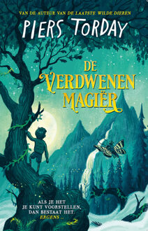 De Verdwenen Magiër - Piers Torday