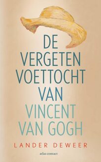 De vergeten voettocht van Vincent van Gogh - Lander Deweer - ebook