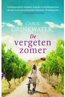 De vergeten zomer - Boek Carol Drinkwater (9400507712)