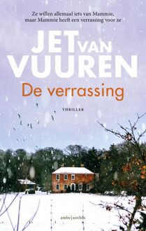 De verrassing - Jet van Vuuren - ebook