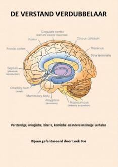De verstand verdubbelaar - Boek Loek Bos (9462545340)