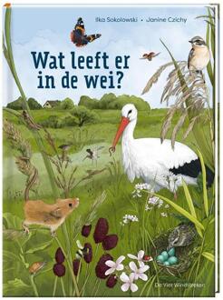 De Vier Windstreken Wat Leeft Er In De Wei? - Ilka Sokolowski