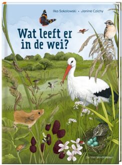 De Vier Windstreken Wat Leeft Er In De Wei? - Ilka Sokolowski