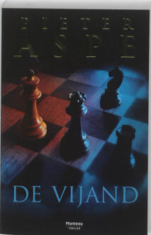 De vijand - Boek Pieter Aspe (9022324826)