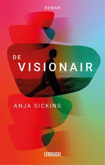 De visionair - Anja Sicking - ebook