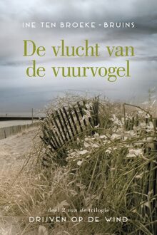 De vlucht van de vuurvogel - eBook Ine ten Broeke-Bruins (9401907870)