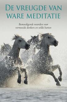 De Vreugde Van Ware Meditatie - (ISBN:9789088401923)