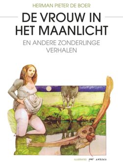 De vrouw in het maanlicht - eBook Herman Pieter de Boer (9463450327)