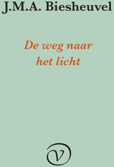 De weg naar het licht - J.M.A. Biesheuvel - ebook