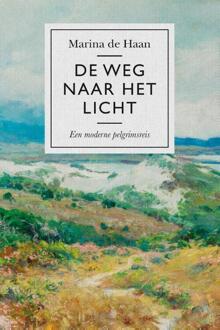 De weg naar het licht -  Marina de Haan (ISBN: 9789043542050)