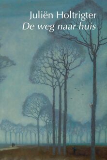 De weg naar huis -  Juliën Holtrigter (ISBN: 9789463361996)
