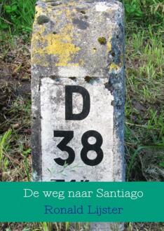 De weg naar Santiago - Boek Ronald Lijster (9463425047)