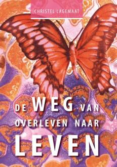 De weg van overleven naar leven -  Christel Lagemaat (ISBN: 9789462471405)