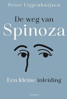 De weg van Spinoza -  Peter Eijgenhuijsen (ISBN: 9789464714470)