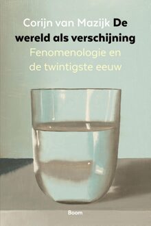 De wereld als verschijning - Corijn van Mazijk - ebook