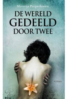 De wereld gedeeld door twee