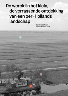 De Wereld In Het Klein - Caroline Waltman