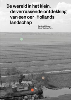 De Wereld In Het Klein - Caroline Waltman