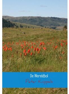 De wereldbol - Boek Peter Knippels (9402132813)