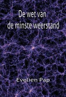 De wet van de minste weerstand - Boek Evelien Pap (9491439553)