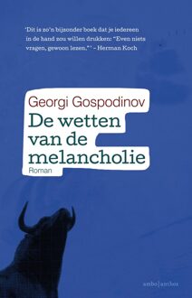 De wetten van de melancholie - eBook Georgi Gospodinov (9026331614)