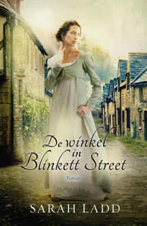 De winkel in Blinkett Street - Boek Sarah Ladd (9029725249)