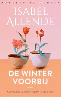 De Winter Voorbij - Isabel Allende