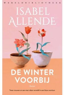 De Winter Voorbij - Isabel Allende