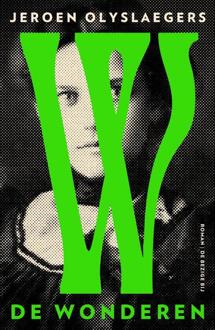 De wonderen -  Jeroen Olyslaegers (ISBN: 9789403187914)