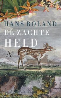 De zachte held - eBook Hans Boland (9025303684)