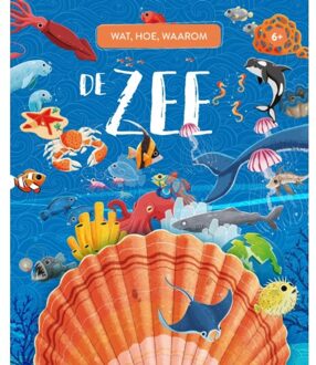 De Zee - Wat, Hoe, Waarom - Giuali Pesavento